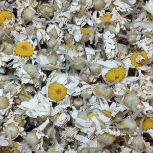 Papatya Çay'lı Hediyelik 25'li Paket