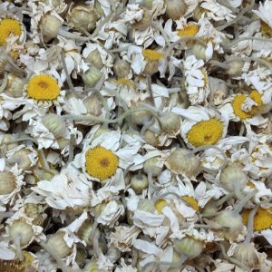 Papatya Çay'lı Hediyelik 25'li Paket